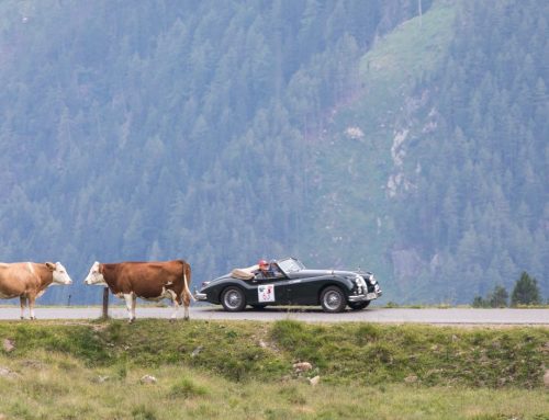 Review Ennstal Classic and GARANTA JAGUAR TROPHY