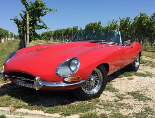 For Sale – JAGUAR E-TYPE S1 OTS, 1962