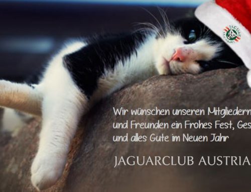 Season Greetings